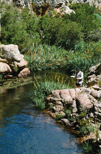 Trout Pod Activities2