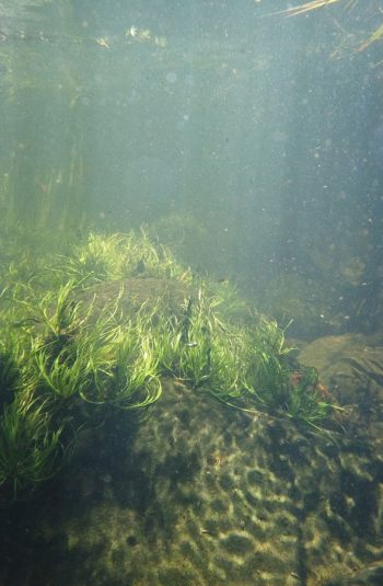 Dcim100mediadji 0863.jpg