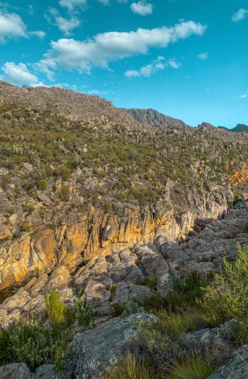 Glendonald Images 57